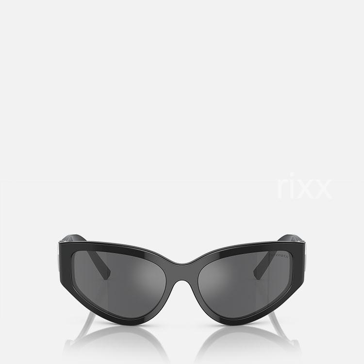 티파니 앤 코 선글라스 TF4217