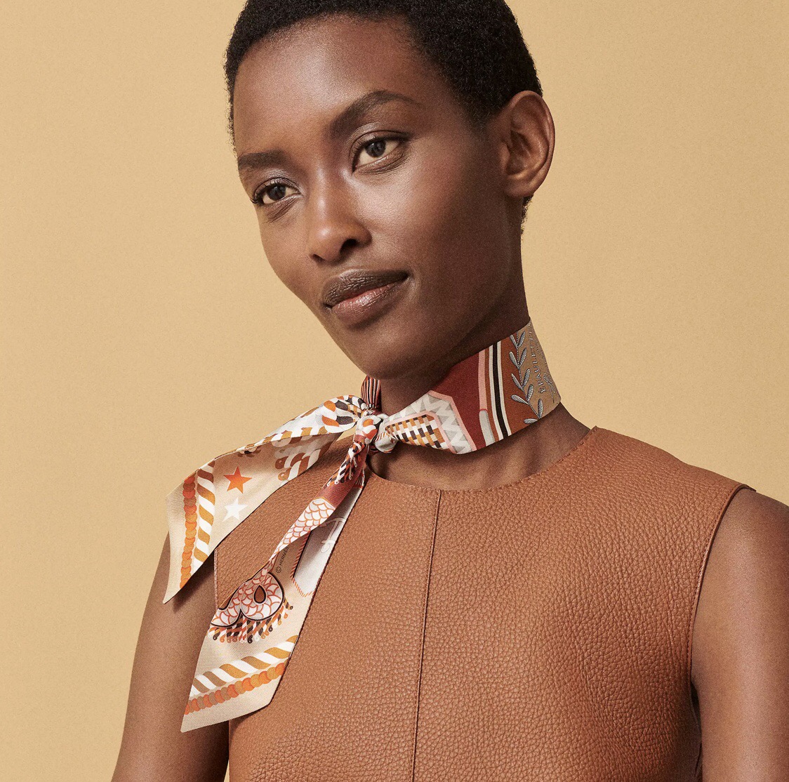 에르메스 트윌리 스카프