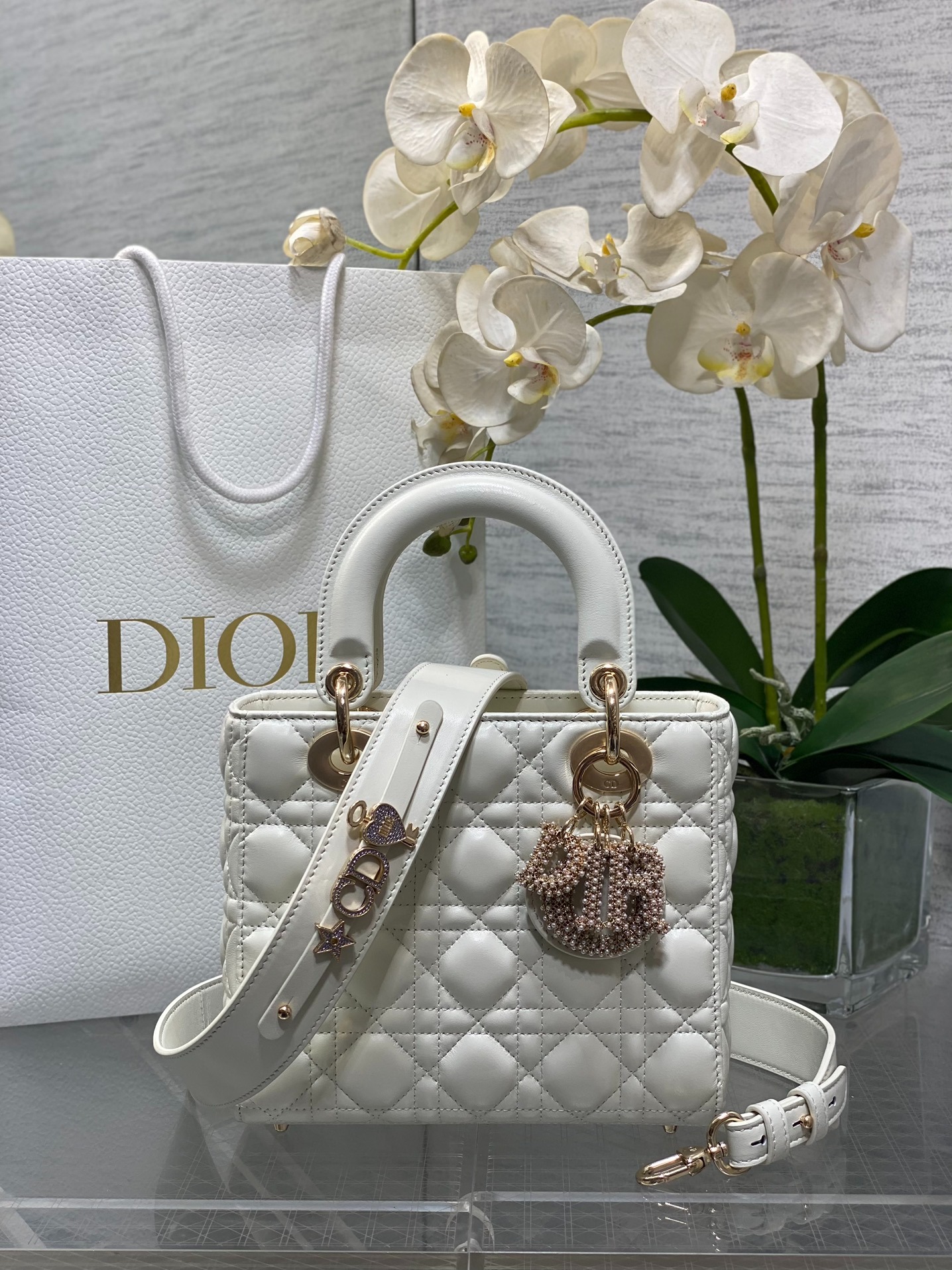 디올 까나쥬 스몰 레이디 백