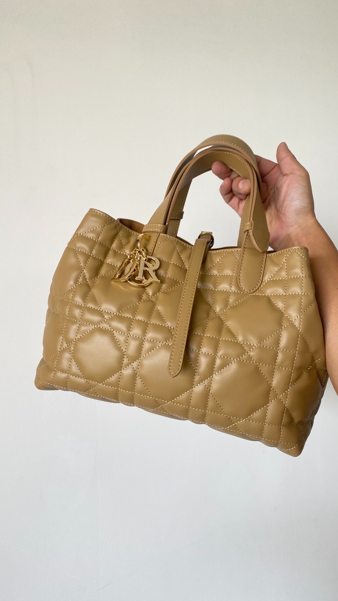 디올 Toujours 라지 백