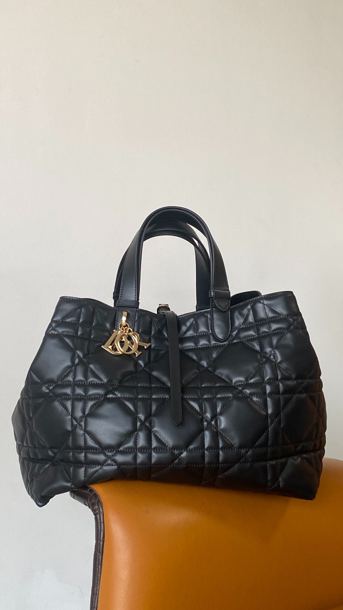 디올 Toujours 라지 백