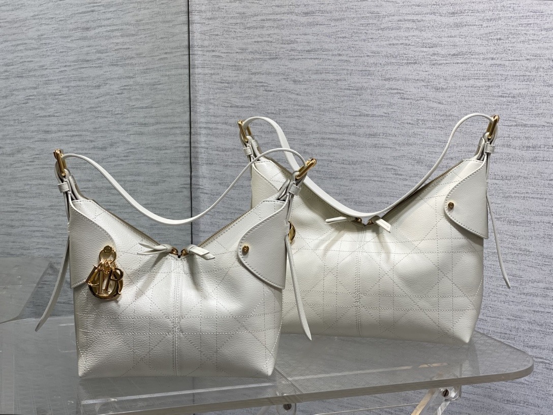 디올 보야지 백