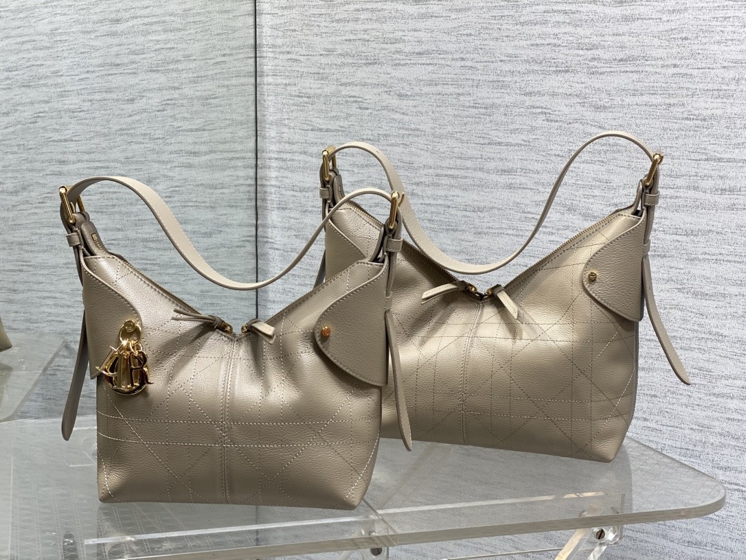 디올 보야지 백