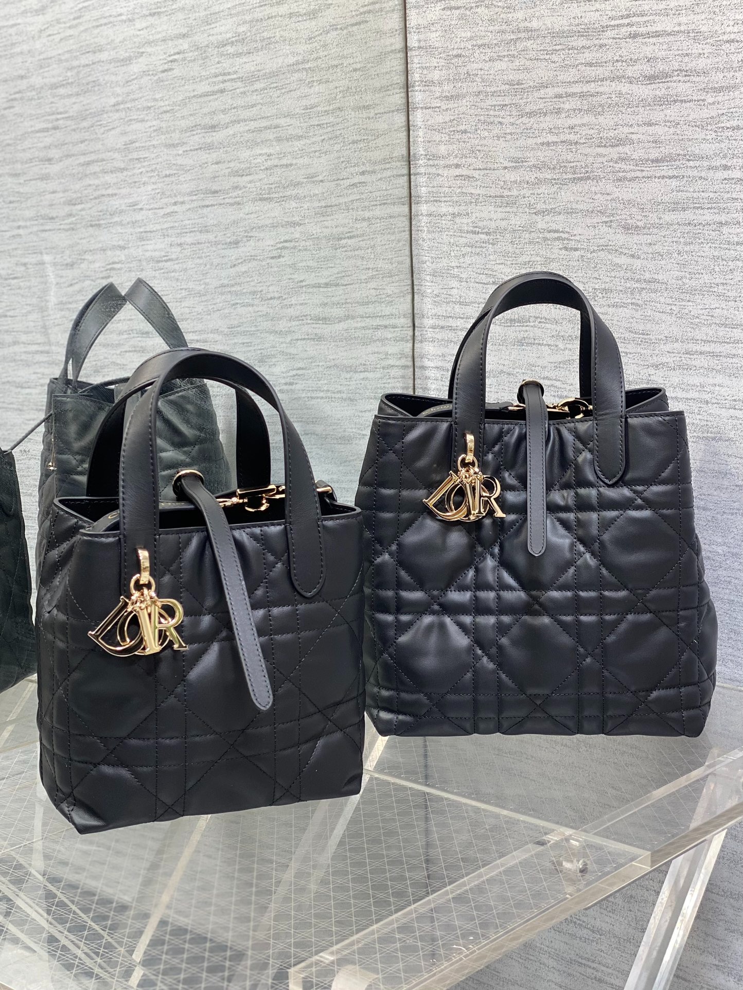 디올 뚜주흐 버티컬 토트백