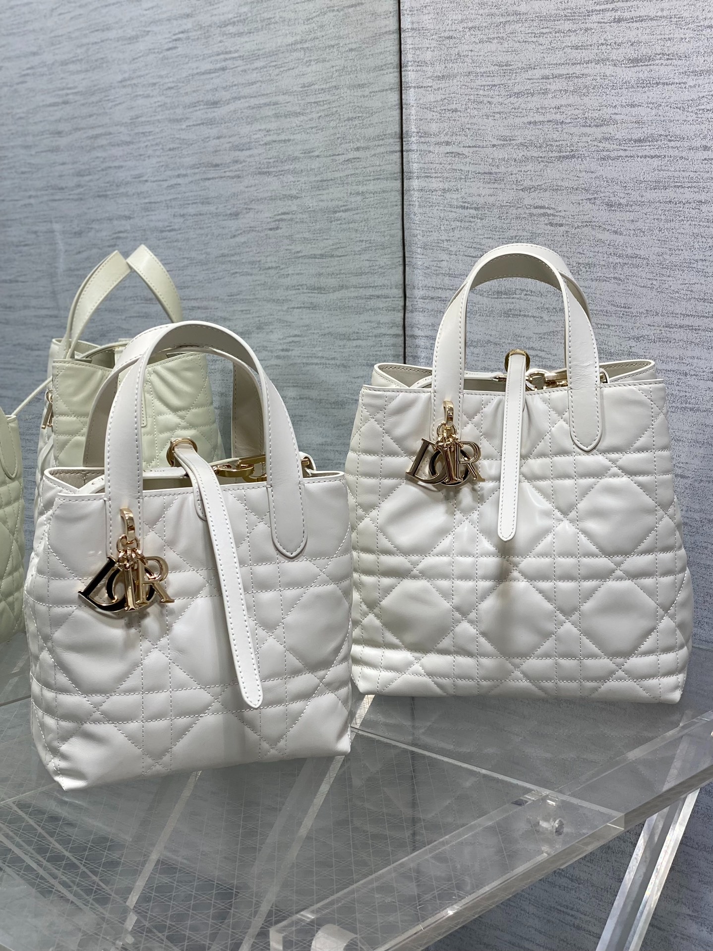 디올 뚜주흐 버티컬 토트백