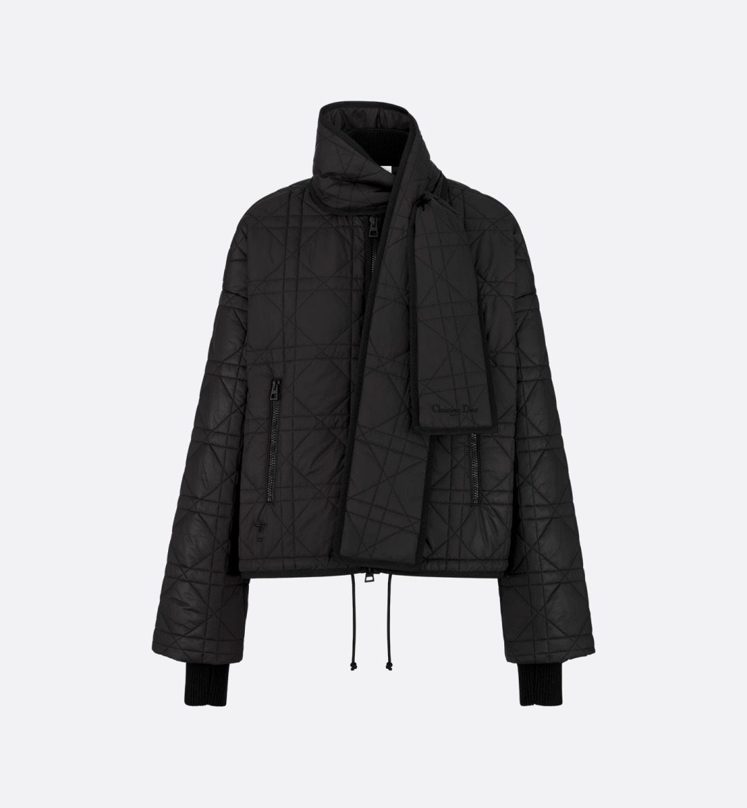 디올 25 FW 신상 패딩 코트